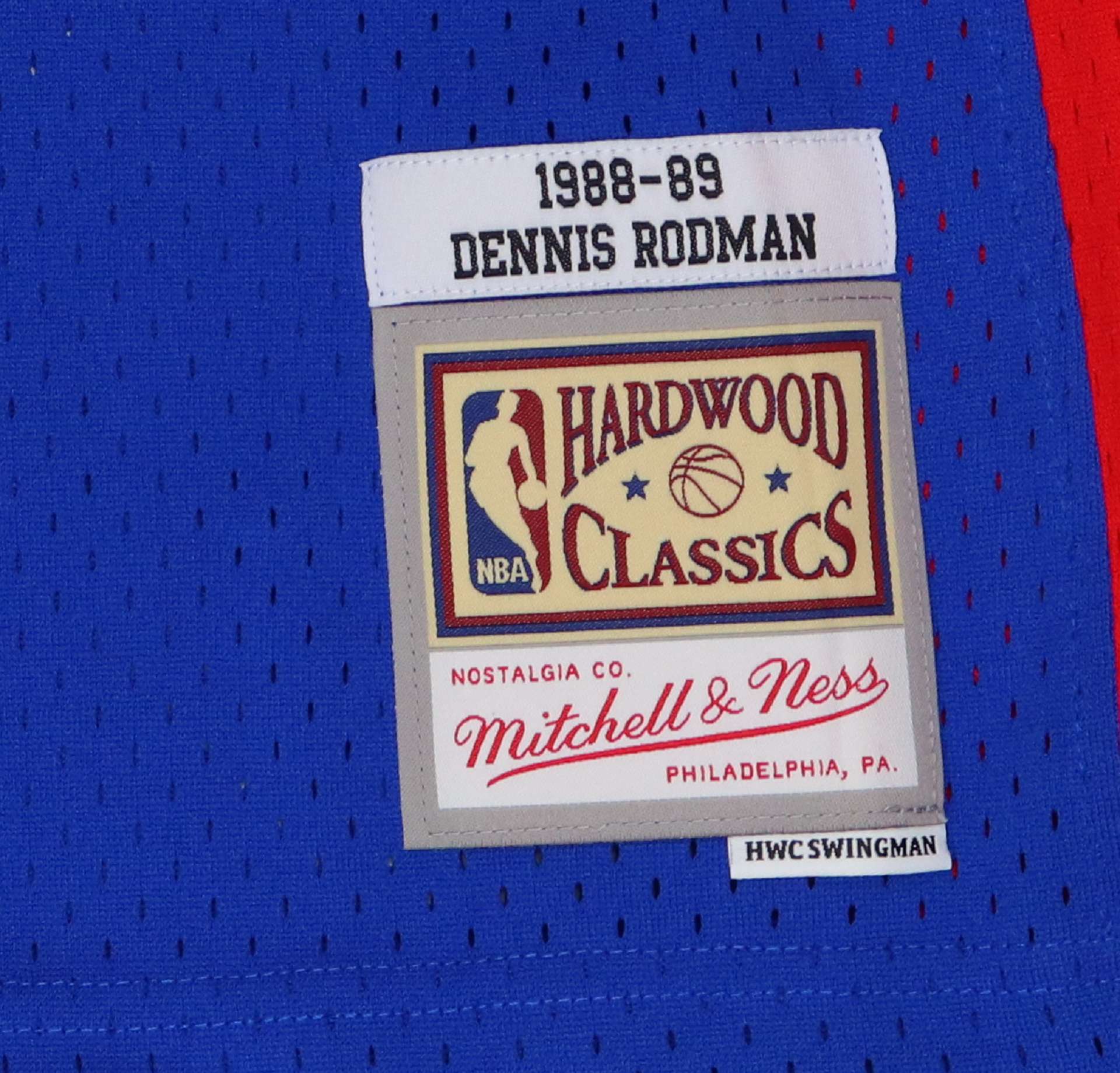 Dennis Rodman #10 Detroit Pistons NBA Swingman 2.0 Mitchell & Ness