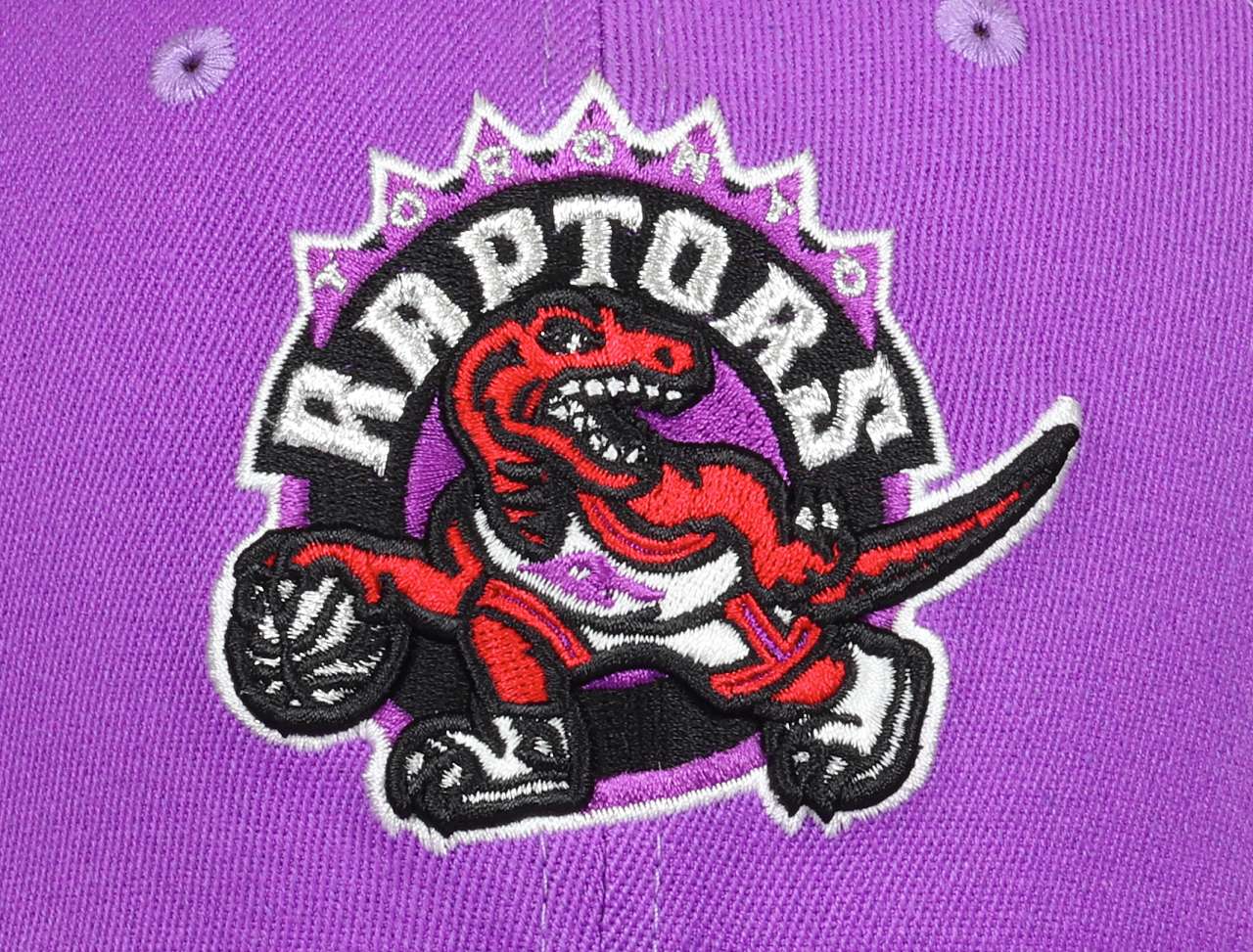 Toronto Raptors Purple NBA Team Ground 2.0 Stretch Snapback HWC Cap Mitchell & Ness