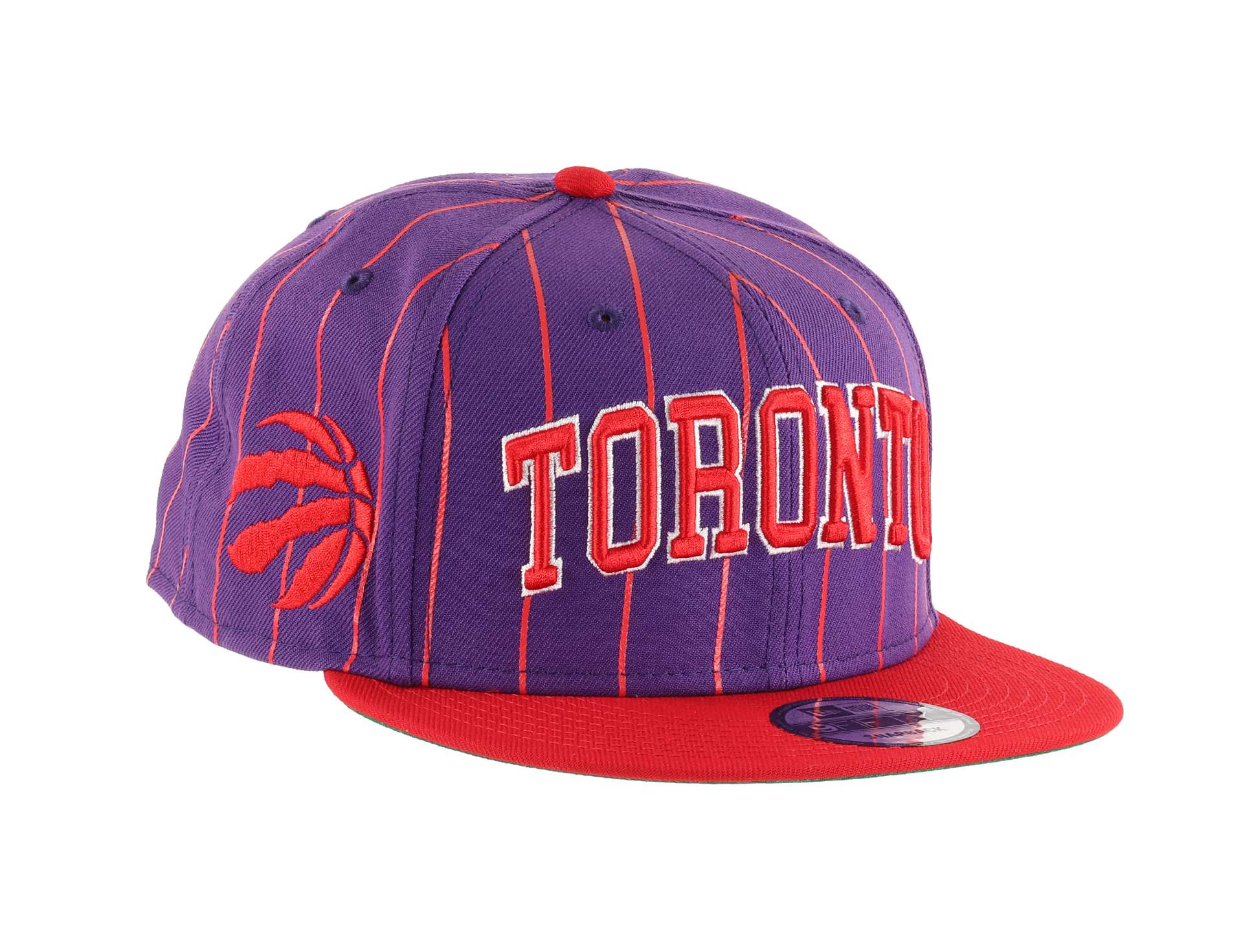Toronto Raptors City Arch Blue 9Fifty Snapback Cap New Era