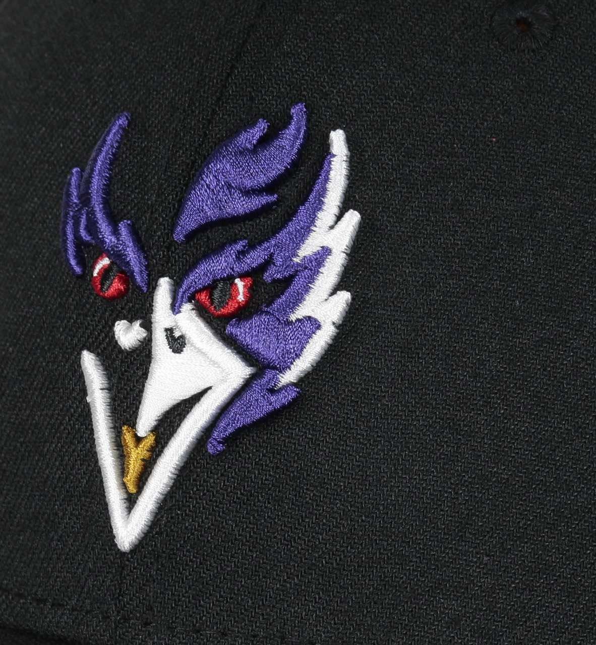 Baltimore Ravens NFL Elemental 39Thirty Cap New Era