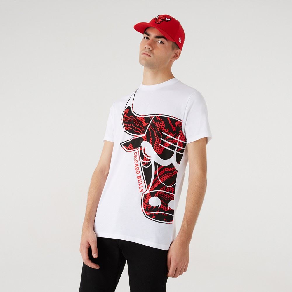 Chicago Bulls NBA Oil Slick T-Shirt New Era