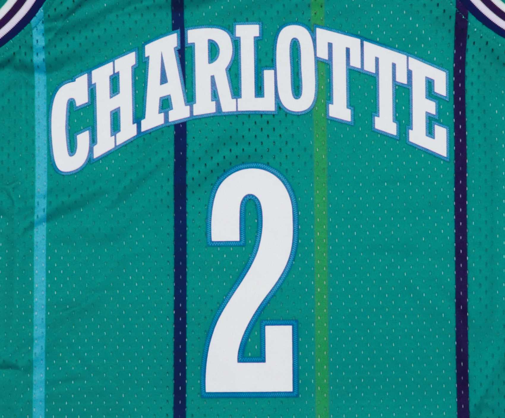 Larry Johnson #2 Charlotte Hornets NBA Swingman Mitchell & Ness