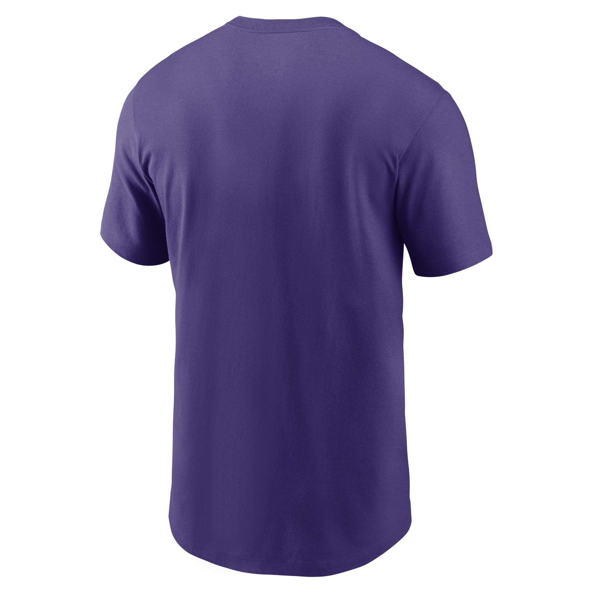 Minnesota Vikings Purple NFL Local Essential T-Shirt Nike 