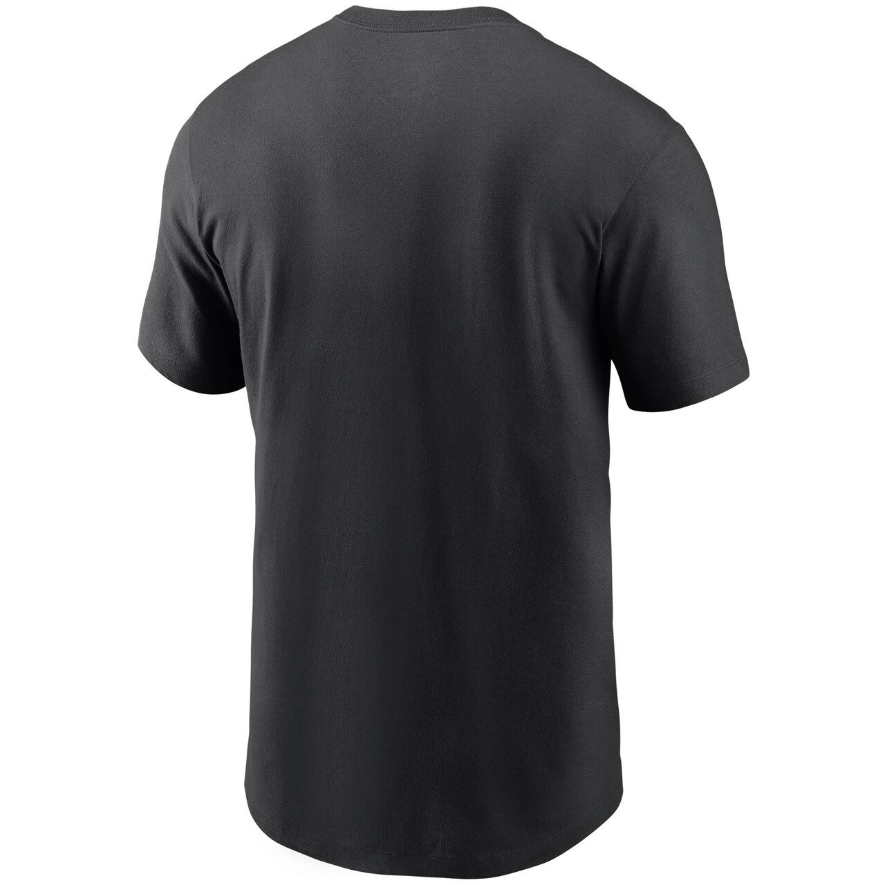 Carolina Panthers NFL Split Team Name Essential Tee Black T-Shirt Nike