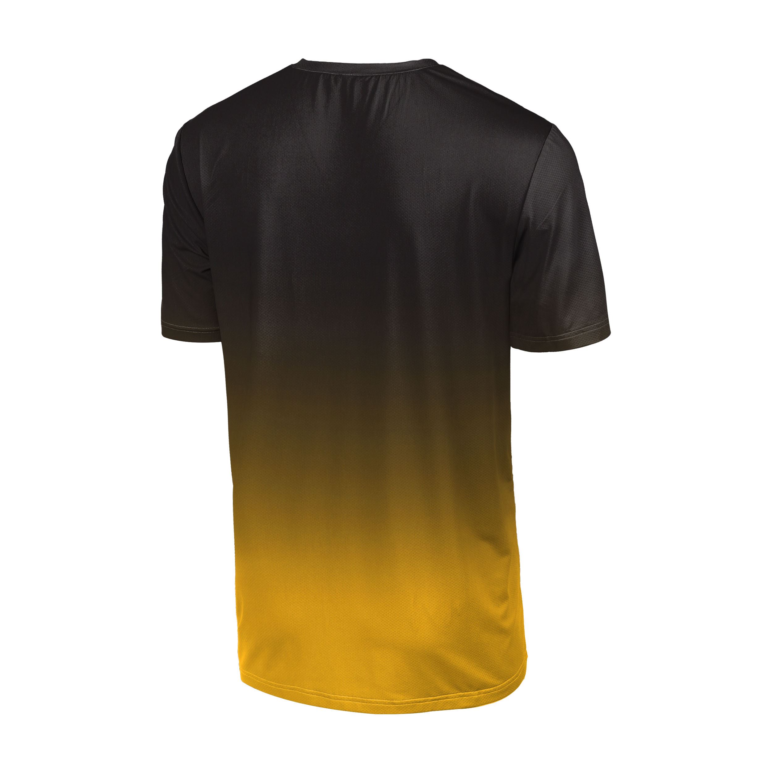 Pittsburgh Steelers NFL Gradient Mesh Jersey Short Sleeve Herren T-Shirt Foco