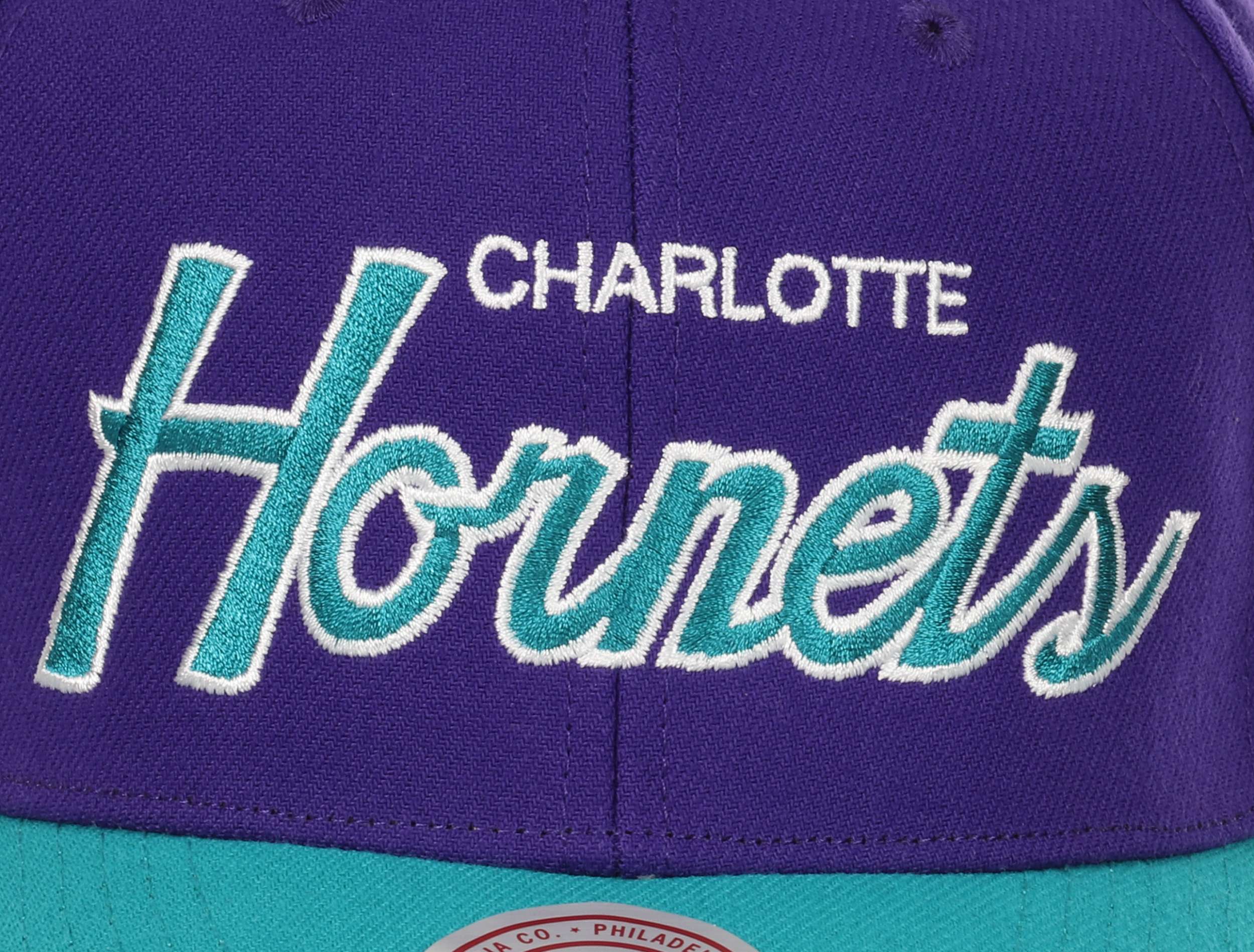 Charlotte Hornets NBA Team Script 2.0 Purple Blue Adjustable Curved Snapback Cap Mitchell & Ness