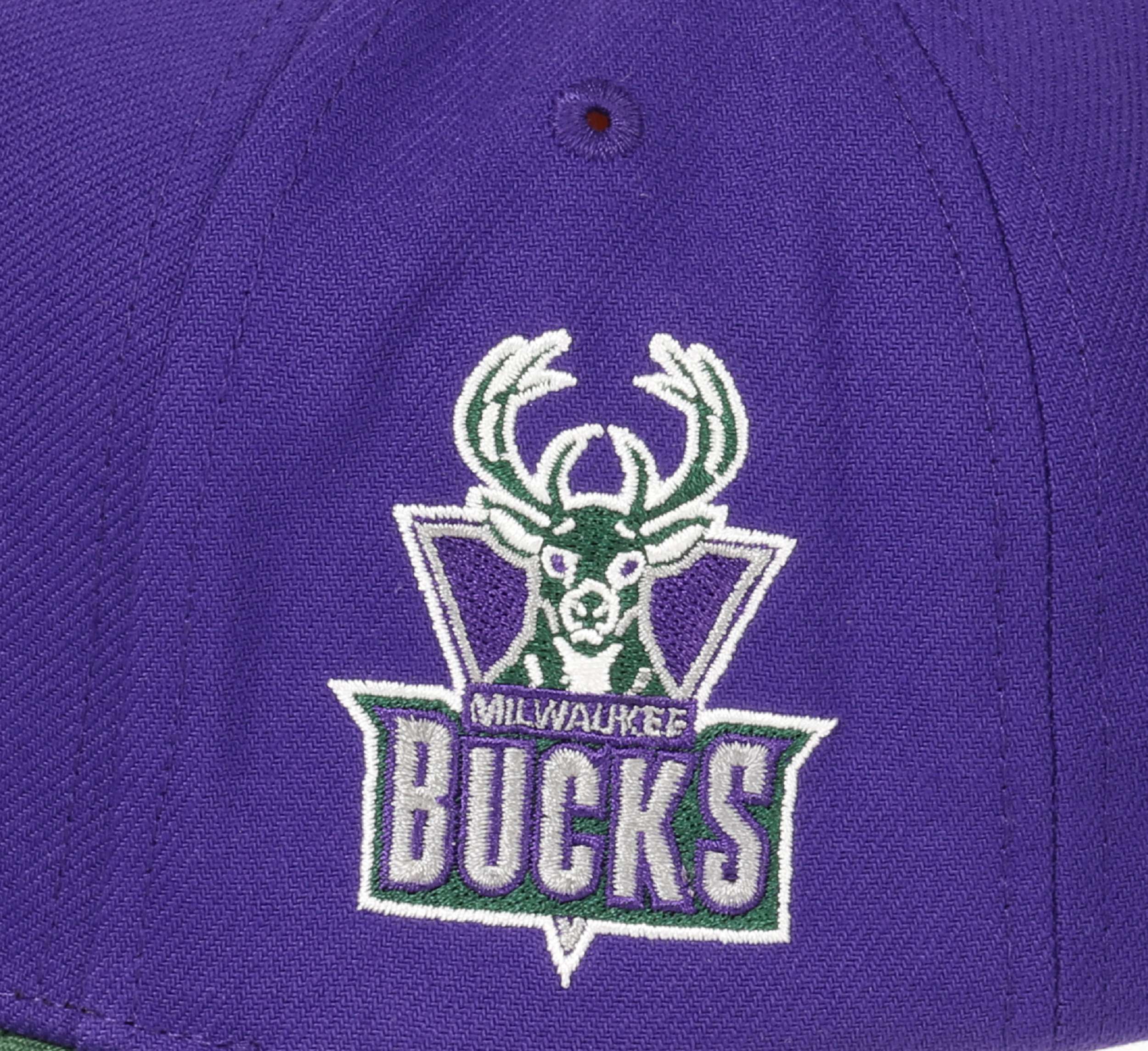Milwaukee Bucks NBA Team Script 2.0 Purple Green Adjustable Curved Snapback Cap Mitchell & Ness