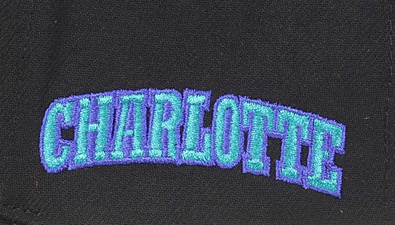 Charlotte Hornets NBA Icon Grail Pro Snapback Hardwood Claasic Cap Pro Crown Fit Black Mitchell & Ness