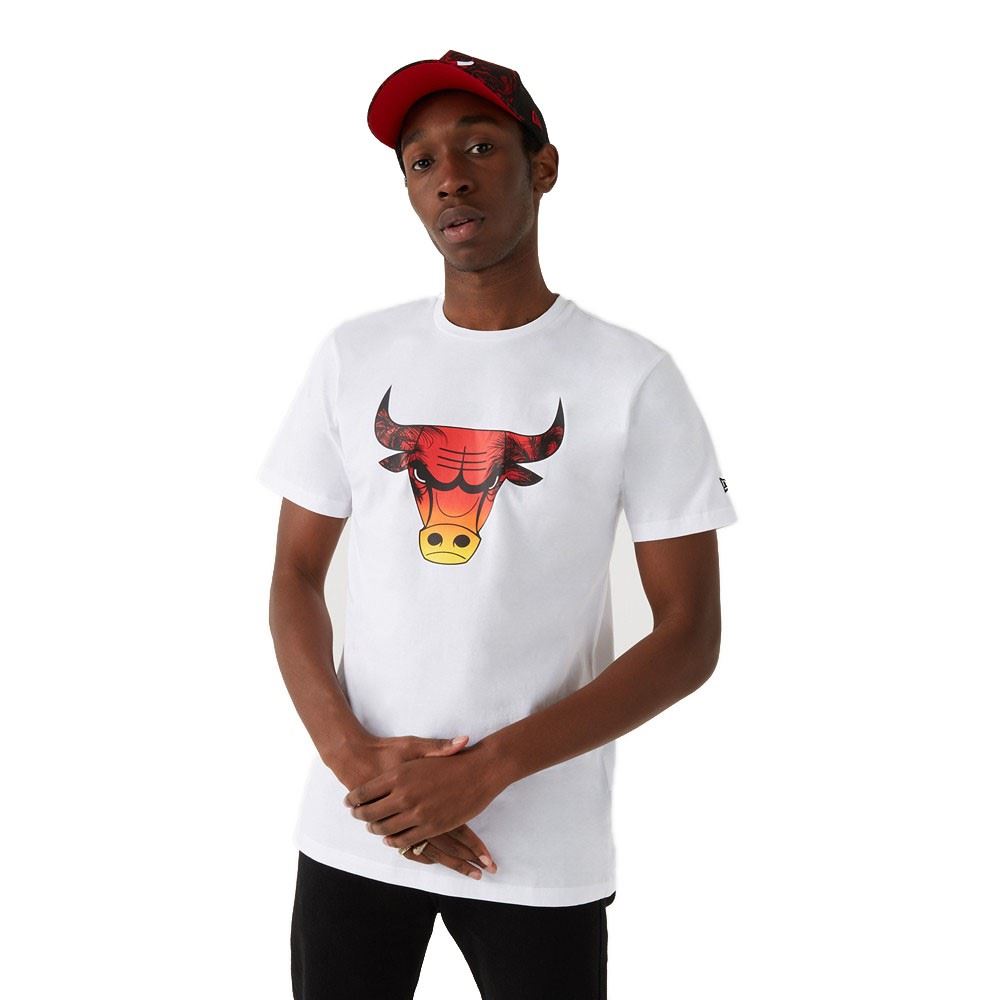 Chicago Bulls NBA Summer City Infill T-Shirt New Era