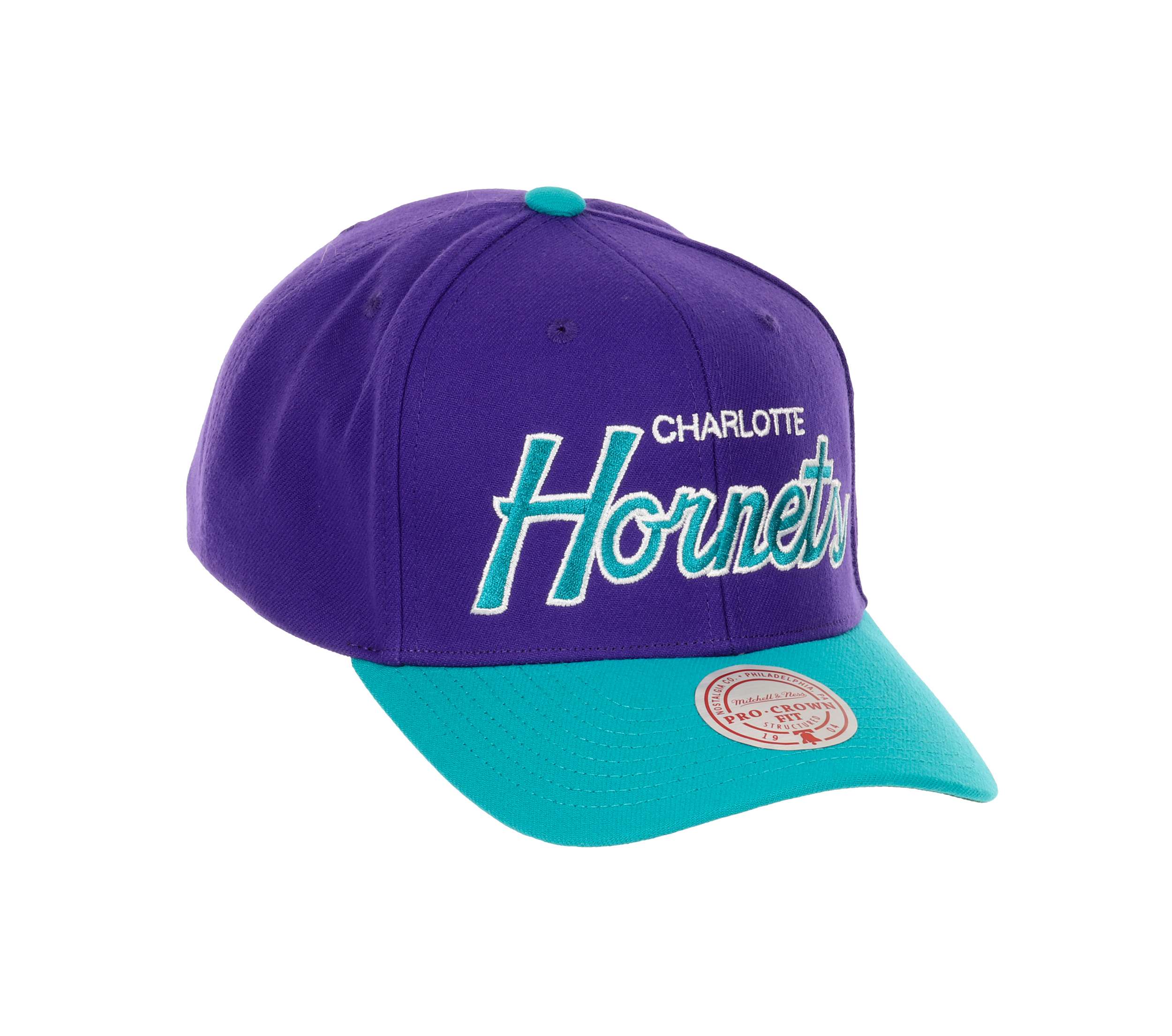Charlotte Hornets NBA Team Script 2.0 Purple Blue Adjustable Curved Snapback Cap Mitchell & Ness